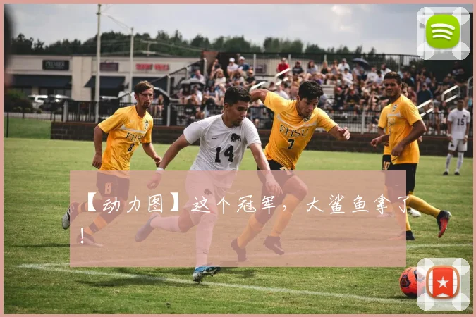 【动力图】这个冠军，大鲨鱼拿了！